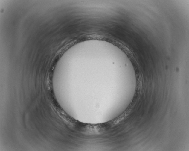 X0000085080764200704021436