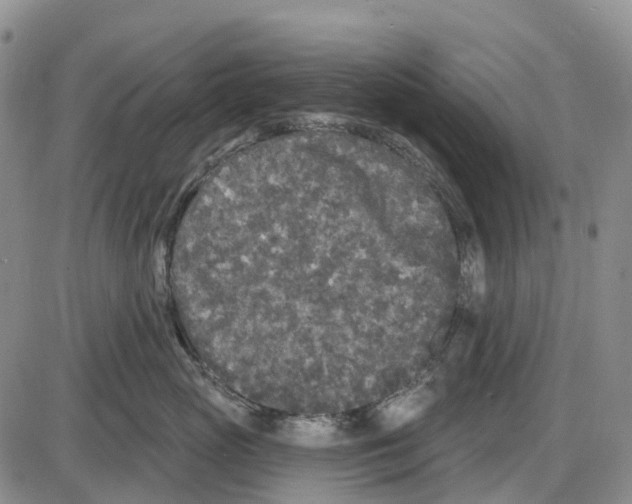 X0000085080765200704021436