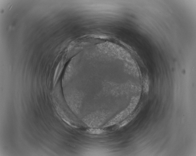 X0000085080766200704021436