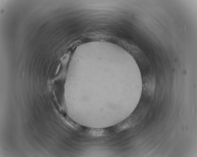 X0000085080767200704021437