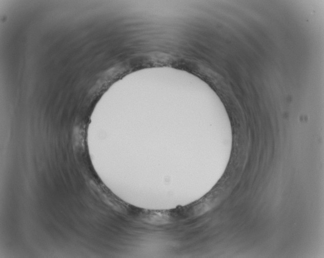 X0000085080768200704021437