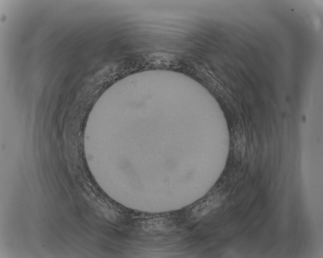 X0000085080769200704021436