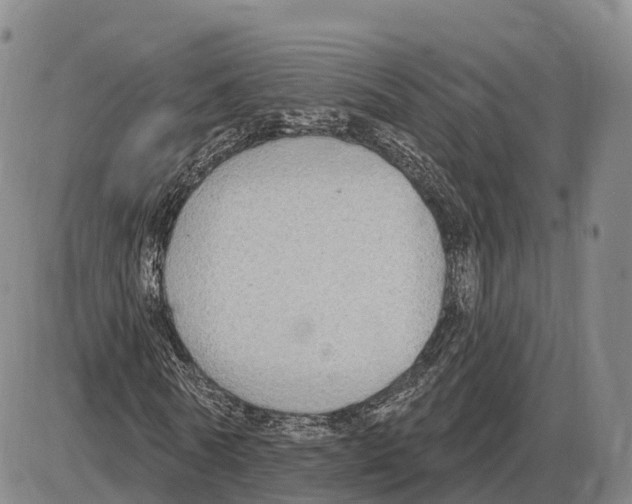 X0000085080770200704021436