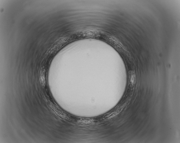 X0000085080771200704021436