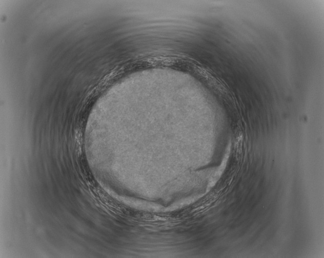 X0000085080772200704021436