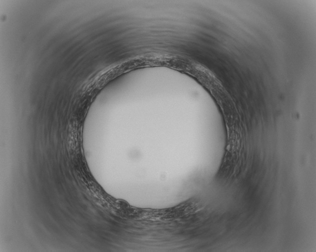 X0000085080773200704021436