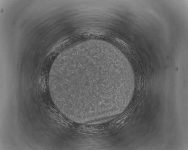 X0000085080774200704021436