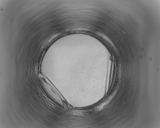 X0000085080777200704021436