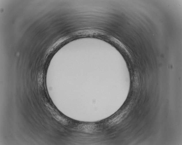 X0000085080778200704021436