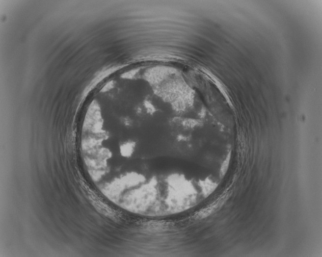 X0000085080779200704021436