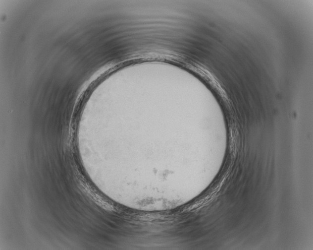 X0000085080780200704021436