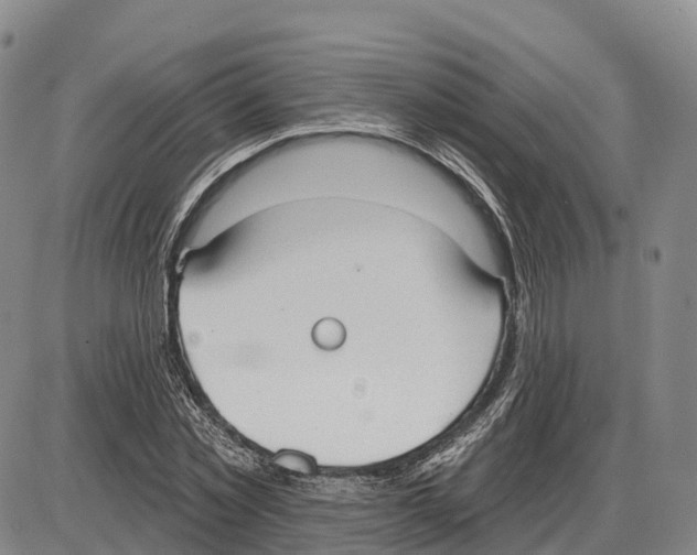 X0000085080781200704021435