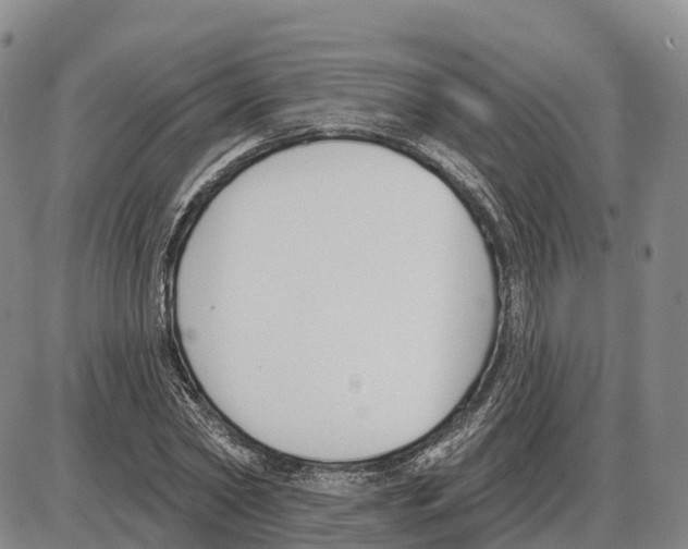 X0000085080782200704021435