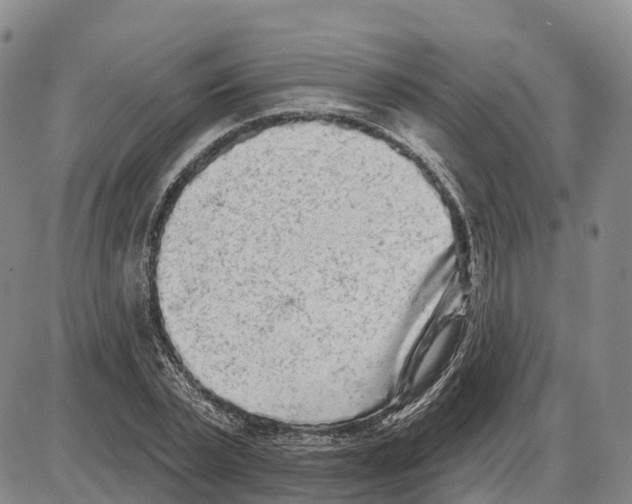 X0000085080783200704021435