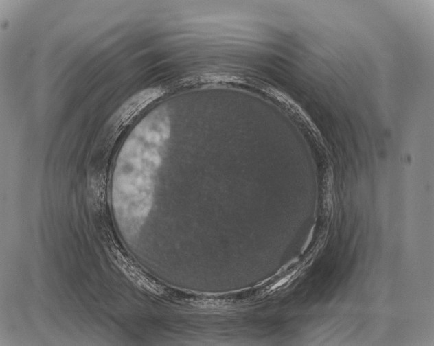 X0000085080785200704021435