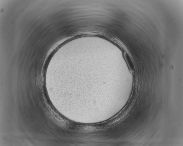 X0000085080787200704021435