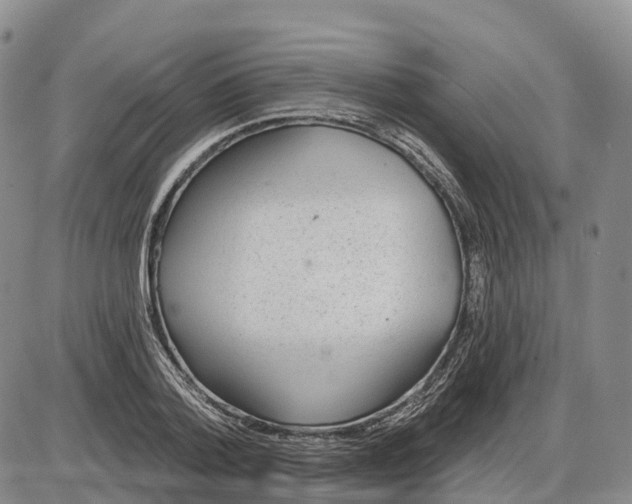 X0000085080788200704021435