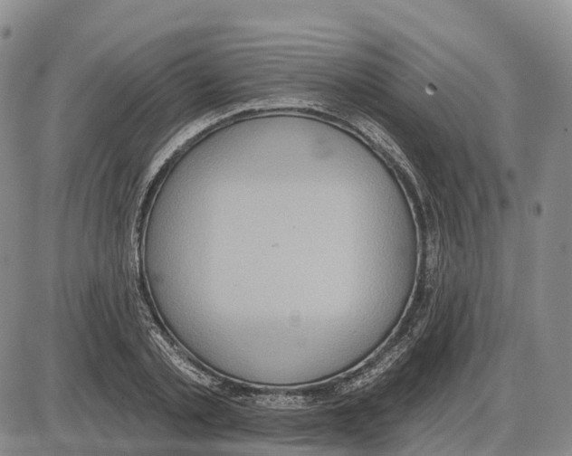 X0000085080789200704021435