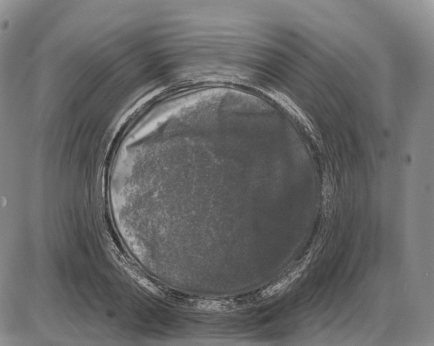 X0000085080790200704021435