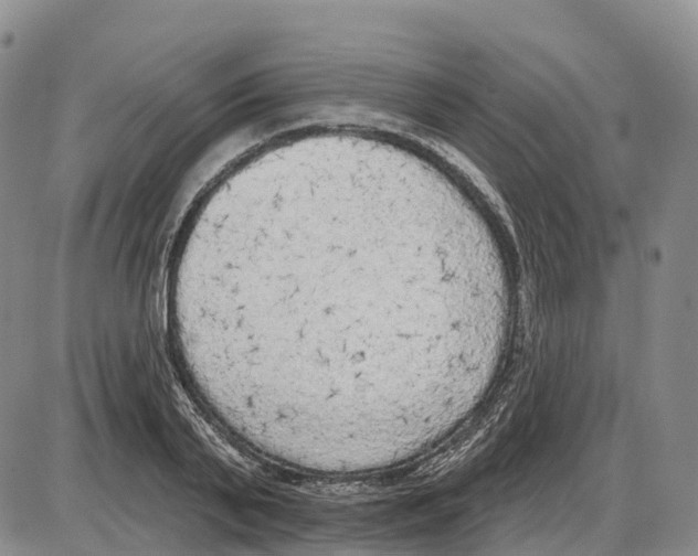 X0000085080791200704021435