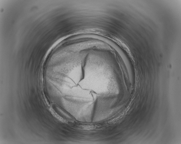 X0000085080792200704021435