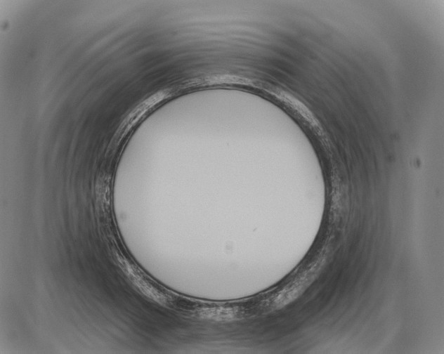 X0000085080793200704021435