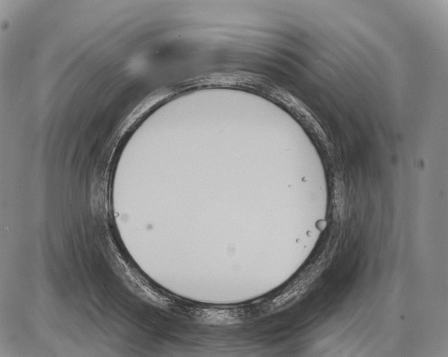 X0000085080794200704021435