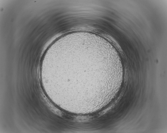 X0000085080796200704021435