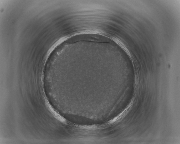 X0000085080797200704021435