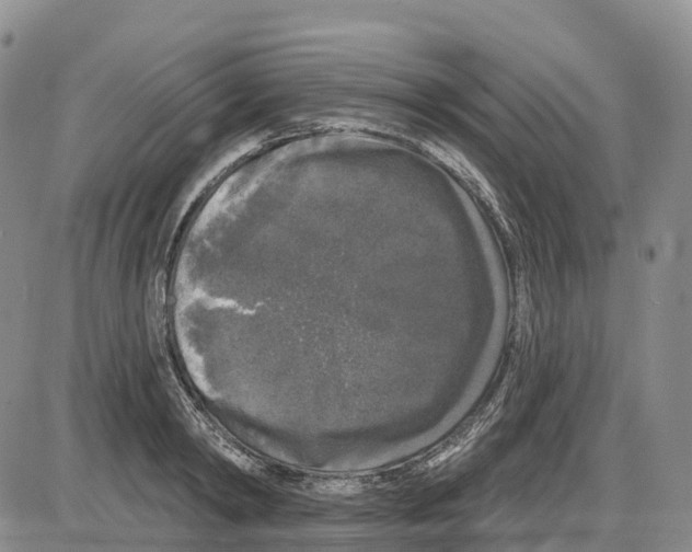 X0000085080798200704021435