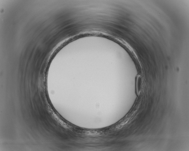 X0000085080799200704021435