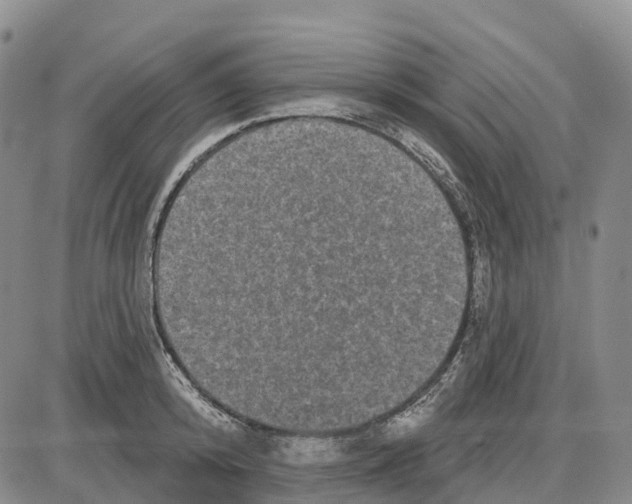 X0000085080800200704021435