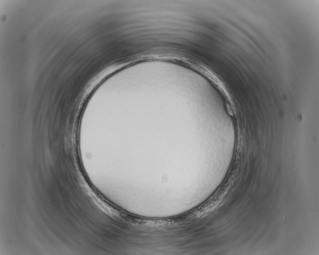 X0000085080803200704021435