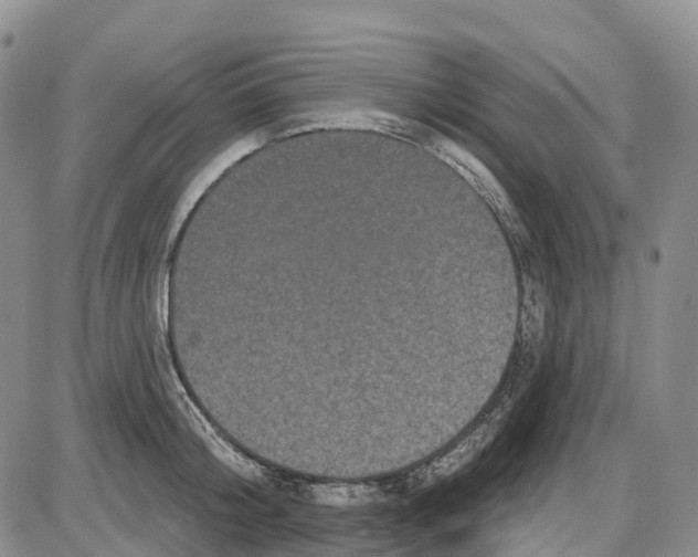 X0000085080804200704021435