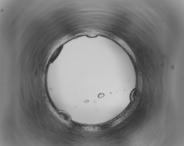 X0000085080805200704021435