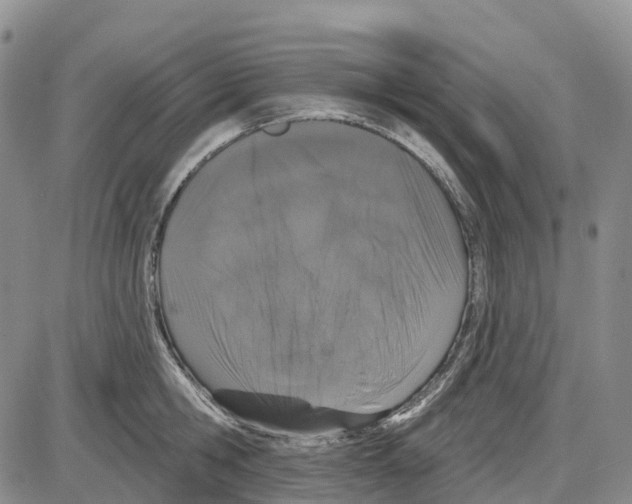 X0000085080806200704021435