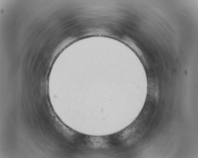 X0000085080807200704021435