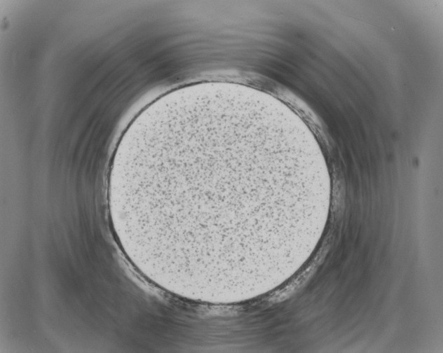 X0000085080808200704021435