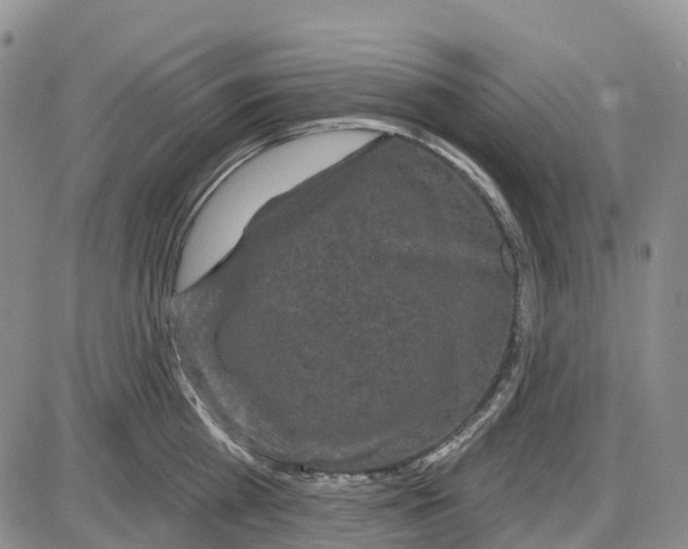 X0000085080809200704021435