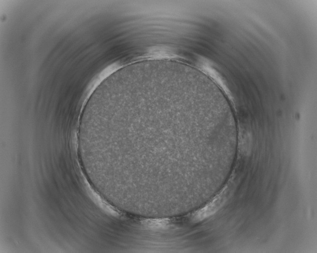 X0000085080810200704021435