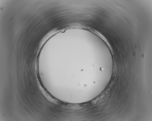 X0000085080811200704021435