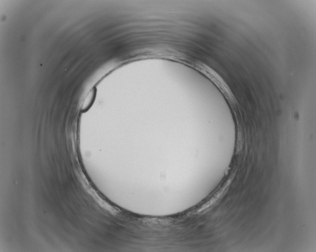 X0000085080812200704021435