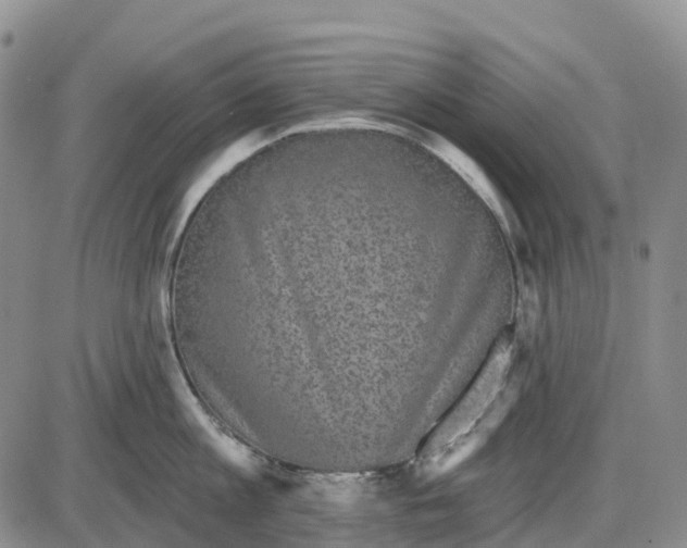 X0000085080813200704021435