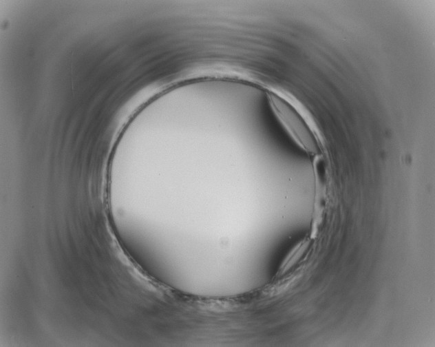 X0000085080815200704021435