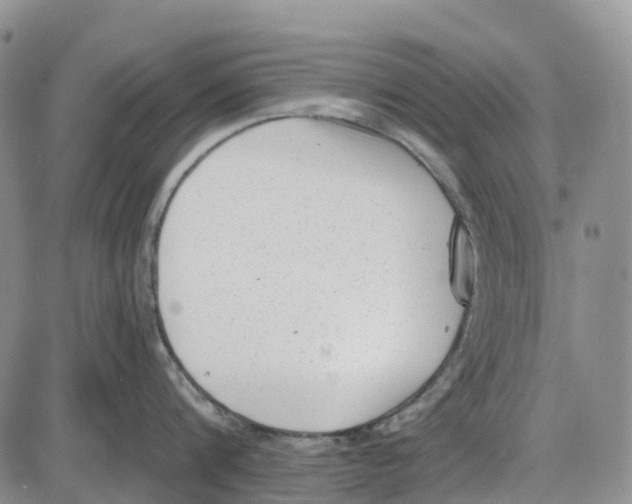 X0000085080816200704021435