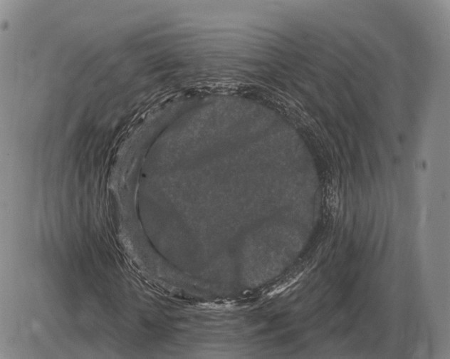 X0000085080818200704021434