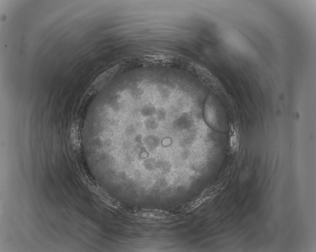 X0000085080819200704021434