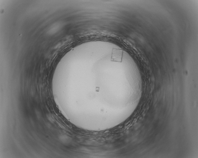 X0000085080820200704021434