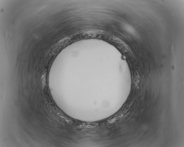 X0000085080821200704021434