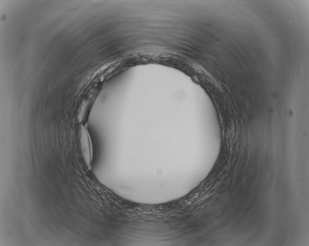 X0000085080822200704021434